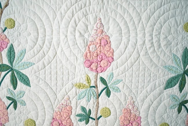 30's "Buckeye Tree" Applique Quilt - 3
