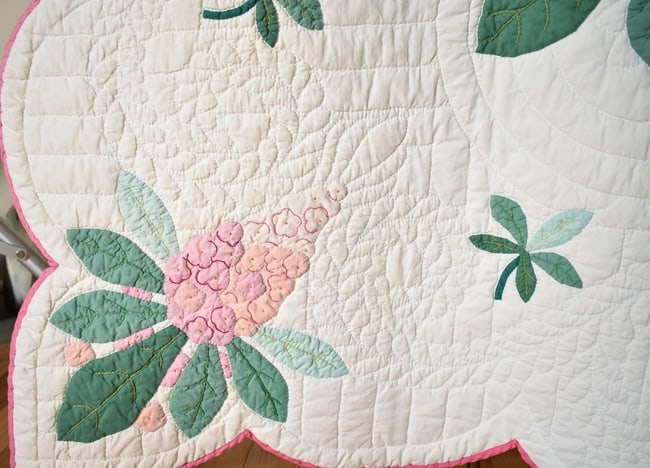 30's "Buckeye Tree" Applique Quilt - 4