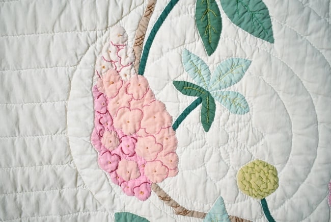 30's "Buckeye Tree" Applique Quilt - 5