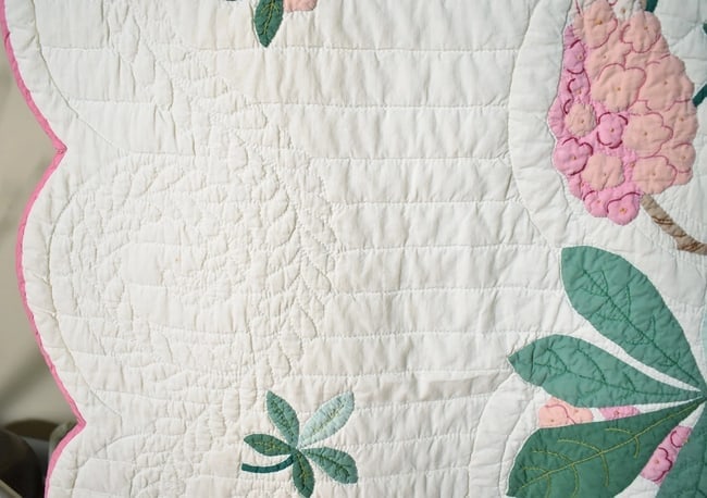 30's "Buckeye Tree" Applique Quilt - 6