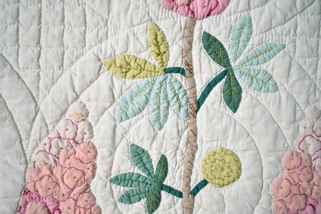 30's "Buckeye Tree" Applique Quilt - 7