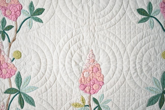 30's "Buckeye Tree" Applique Quilt - 8