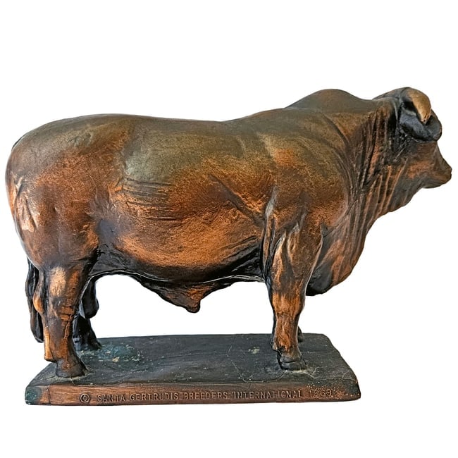 Santa Gertrudis Breeders International Bull 1969 Trophy Statue: Title: Santa Gertrudis Breeders International Bull 1969 Trophy Statue Description: The anatomical accuracy shown in the sculpture explicitly details the heavy beef body, the characteristic slight