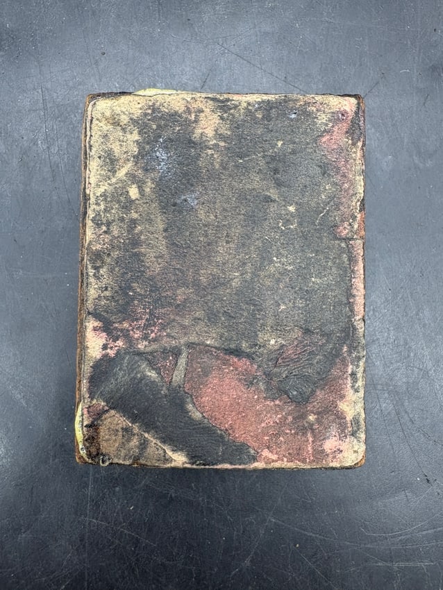 CHIROPRACTIC ADJUSTS THE CAUSE OF DIS-EASE Vintage Printer Block - 3