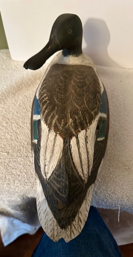 Male Shoveler Duck Decoy (1 of 7)