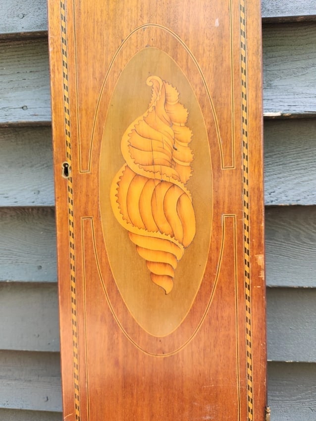 19th Century Inlaid Wood Conch Shell Door Panel Marquetry - 2