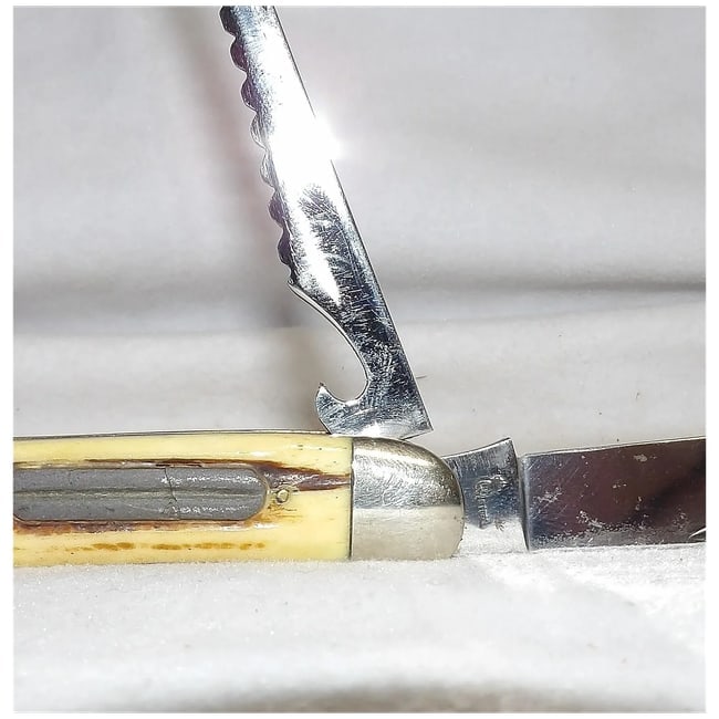 Queen Cutlery Co. #46 Toothpick Fish Knife in Winterbottom Bone - 7