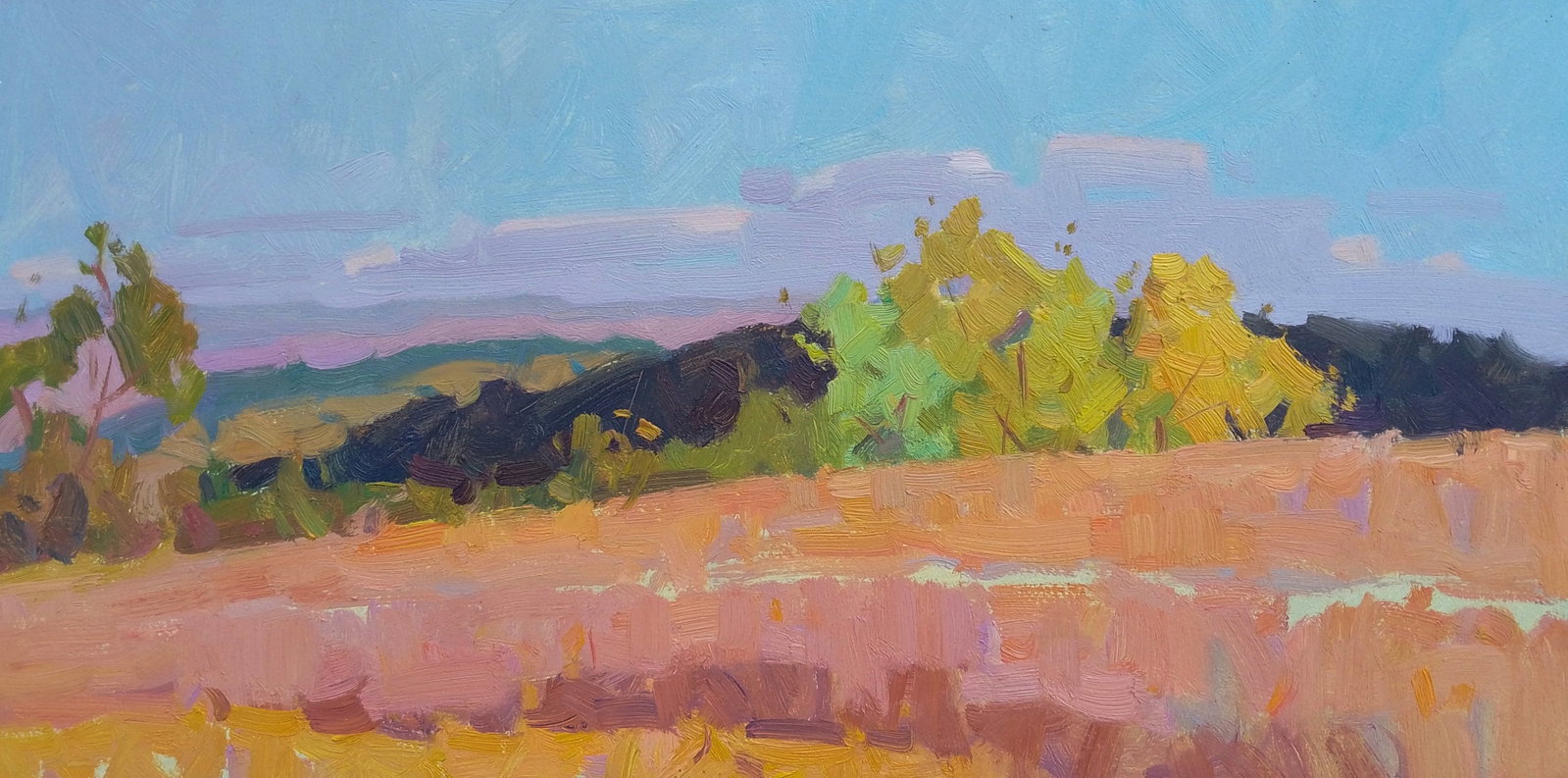 Oil painting Autumn has come to the fields Igor Tuzhikov: Title: Oil painting Autumn has come to the fields Igor Tuzhikov Description: 1TUZHIK Painter: Igor Tuzhikov Size: 20x40 cm/7.87x15.74 inches Components: oil, cardboard Original painting CONDITION: exc
