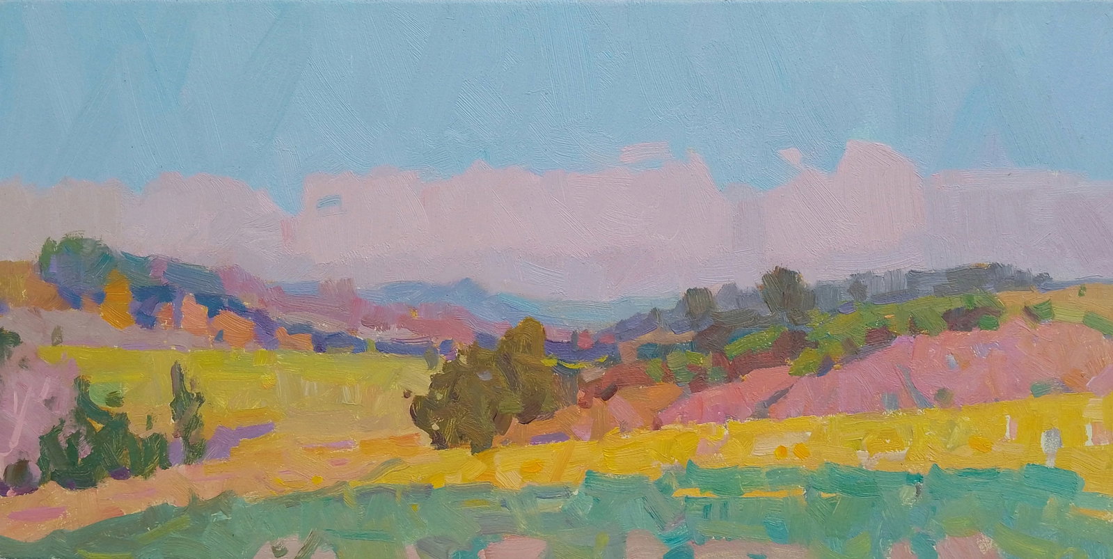 Oil painting Beautiful view of fields and forests Igor Tuzhikov: Title: Oil painting Beautiful view of fields and forests Igor Tuzhikov Description: 2TUZHIK Painter: Igor Tuzhikov Size: 20x40 cm/7.87x15.74 inches Components: oil, cardboard Original painting CONDITI