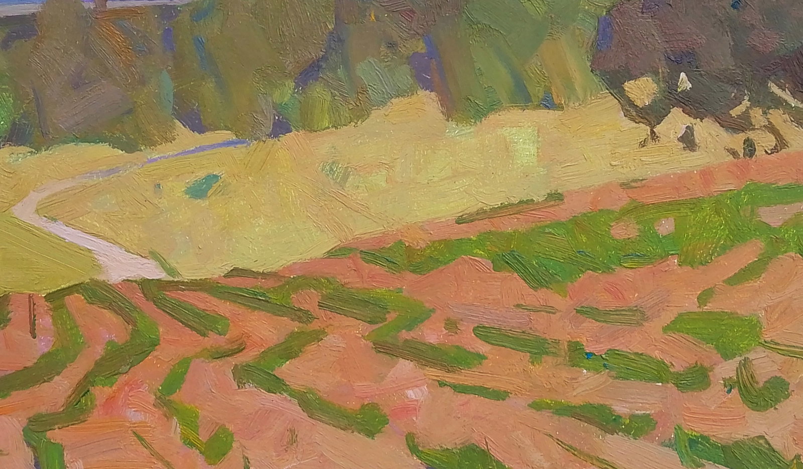 Oil painting A bright vegetable garden Igor Tuzhikov - 6