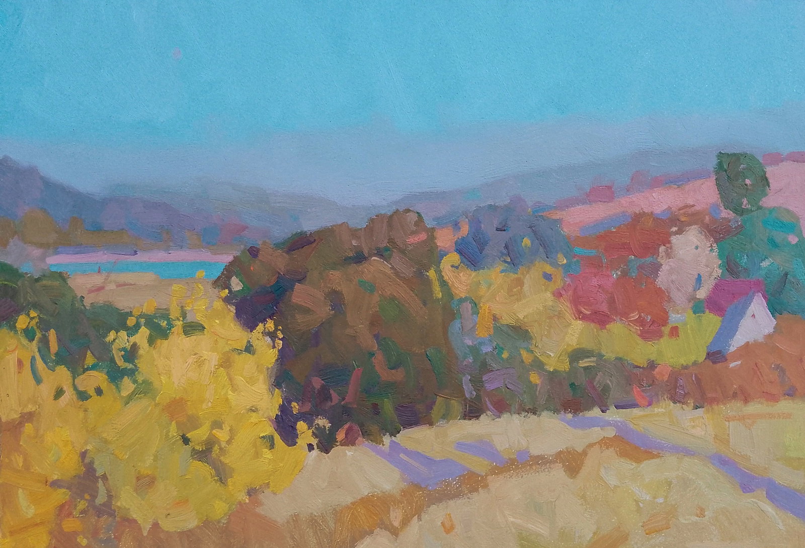 Oil painting The forest is covered in autumn colors Igor Tuzhikov: Title: Oil painting The forest is covered in autumn colors Igor Tuzhikov Description: 15TUZHIK Painter: Igor Tuzhikov Size: 25x35 cm/9.84x13.77 inches Components: oil, cardboard Original painting