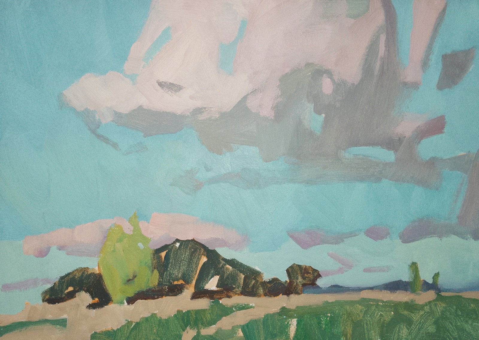 Oil painting Cloudy September Igor Tuzhikov: Title: Oil painting Cloudy September Igor Tuzhikov Description: 18TUZHIK Painter: Igor Tuzhikov Size: 25x35 cm/9.84x13.77 inches Components: oil, cardboard Original painting CONDITION: excellent ARTIS