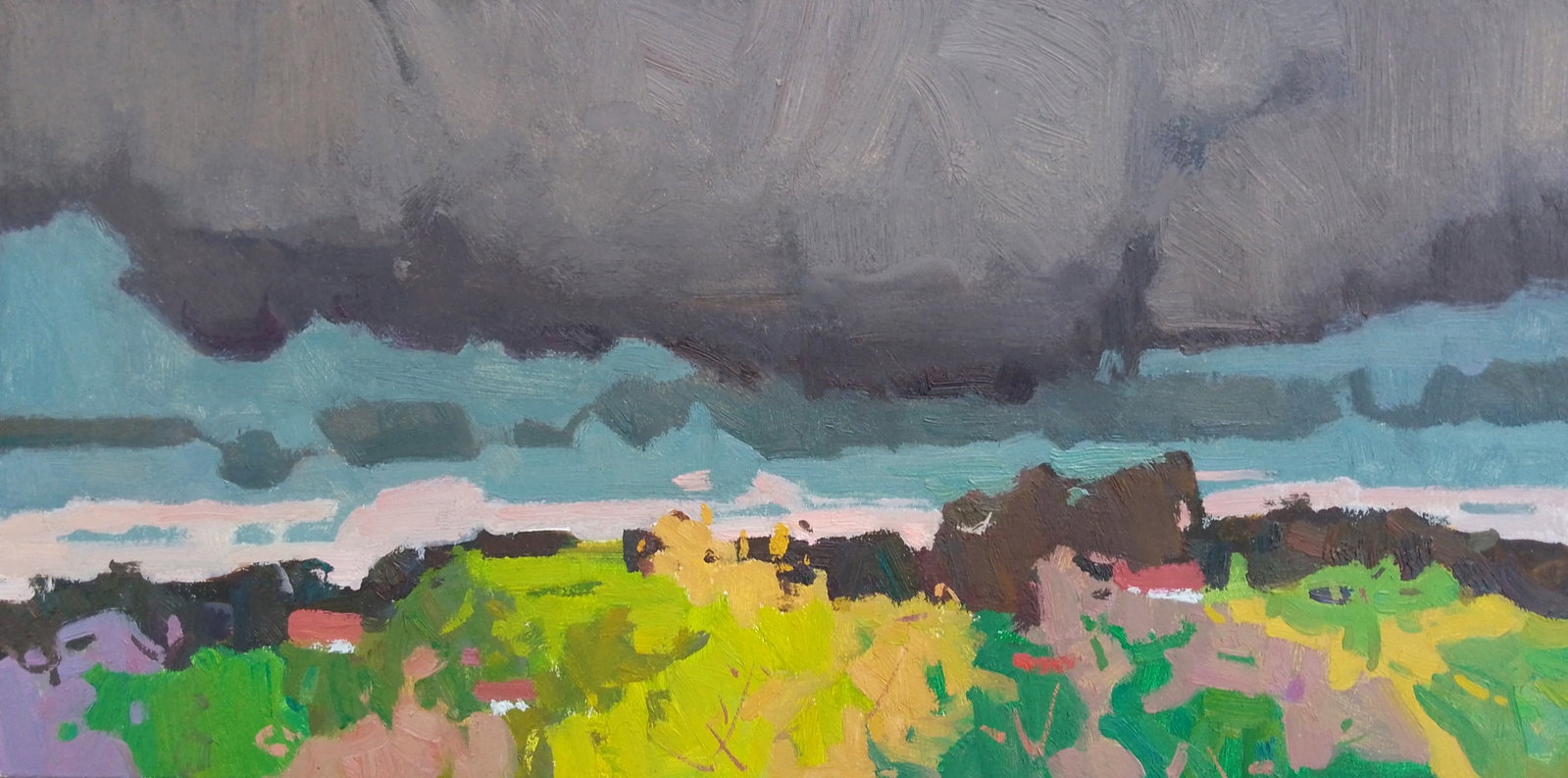Oil painting The rain is coming Igor Tuzhikov: Title: Oil painting The rain is coming Igor Tuzhikov Description: 29TUZHIK Painter: Igor Tuzhikov Size: 20x40 cm/7.87x15.74 inches Components: oil, cardboard Original painting CONDITION: excellent