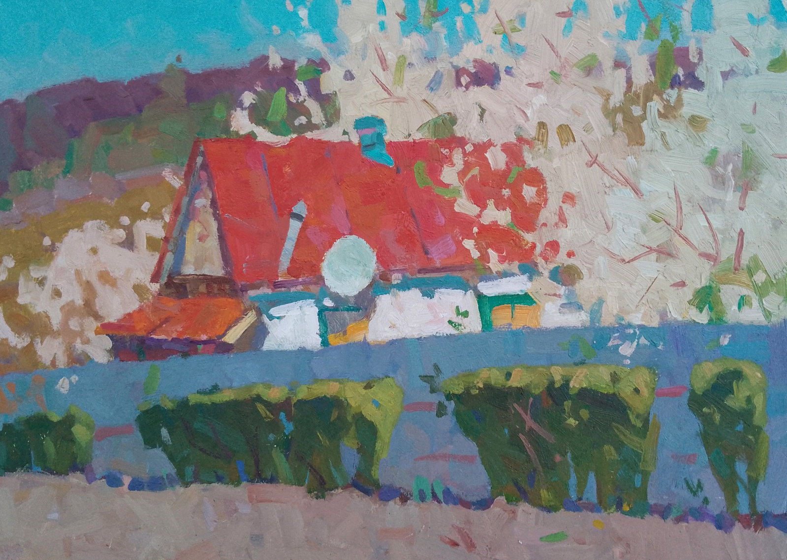 Oil painting The cherry trees are blooming Igor Tuzhikov: Title: Oil painting The cherry trees are blooming Igor Tuzhikov Description: 33TUZHIK Painter: Igor Tuzhikov Size: 25x35 cm/9.84x13.77 inches Components: oil, cardboard Original painting CONDITION: ex