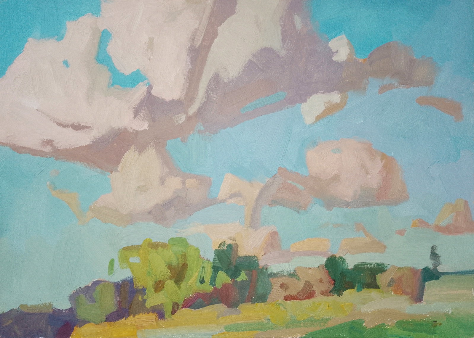 Oil painting Wind in the clouds Igor Tuzhikov: Title: Oil painting Wind in the clouds Igor Tuzhikov Description: 36TUZHIK Painter: Igor Tuzhikov Size: 25x35 cm/9.84x13.77 inches Components: oil, cardboard Original painting CONDITION: excellent ART