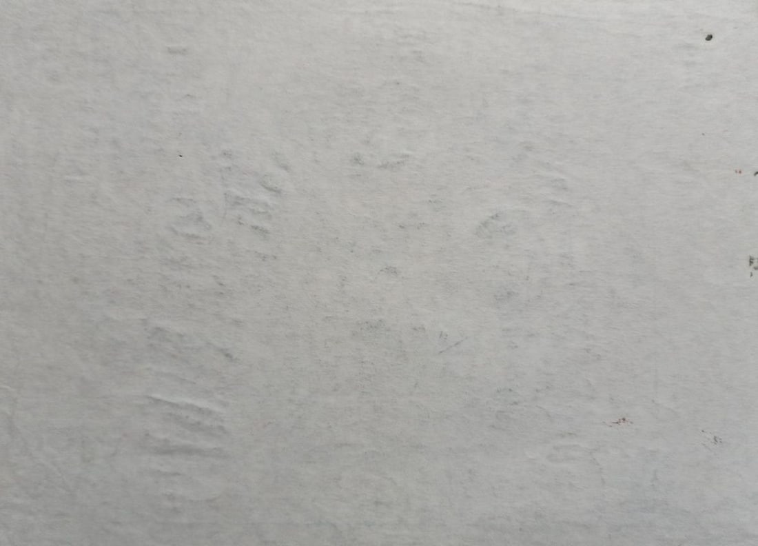 Abstract pencil painting Portrait of naked girls Peter Tovpev - 4