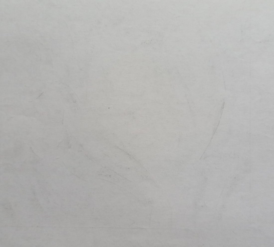 Abstract pencil painting Portrait of a naked girl Peter Tovpev - 4
