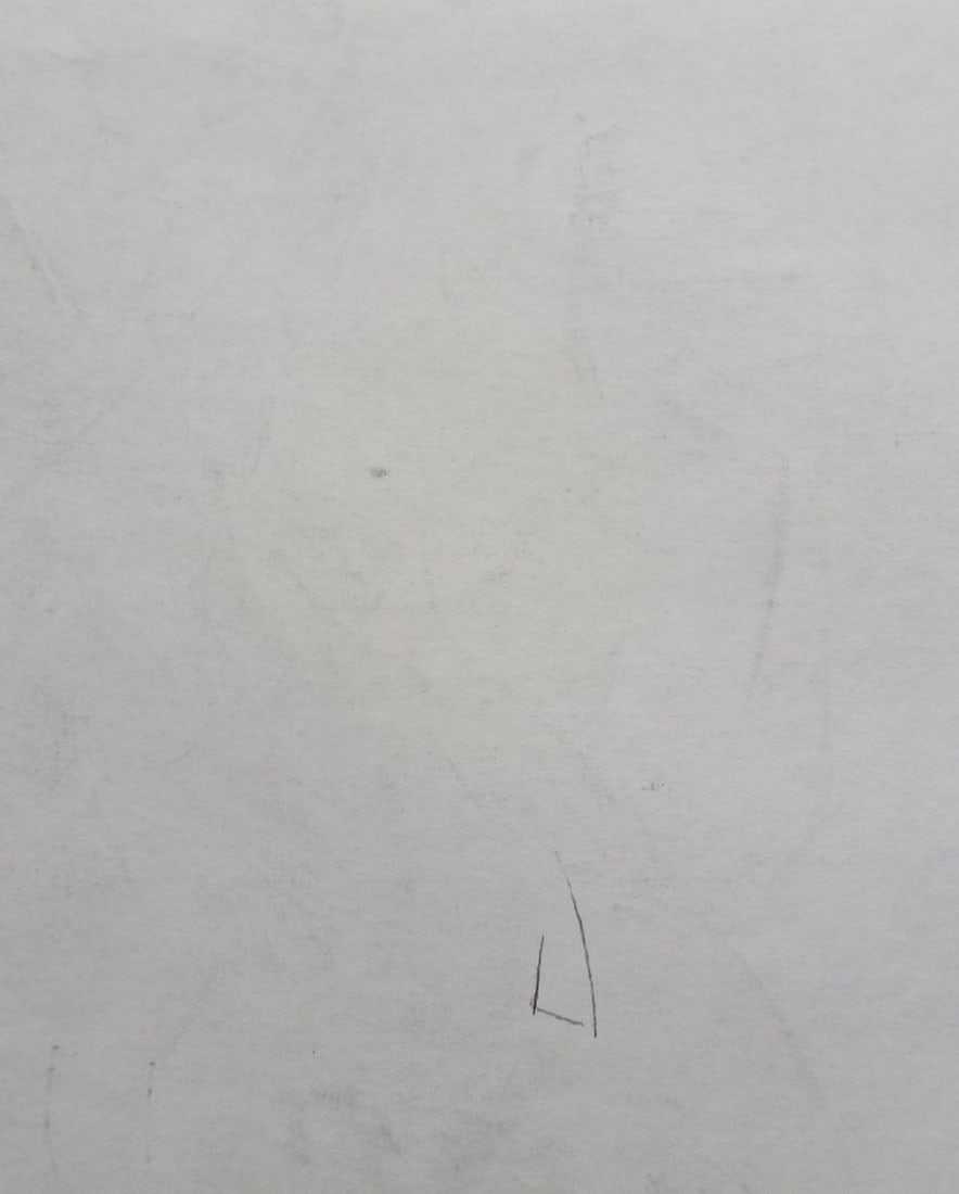 Abstract pencil painting Portrait of a naked girl Peter Tovpev - 4