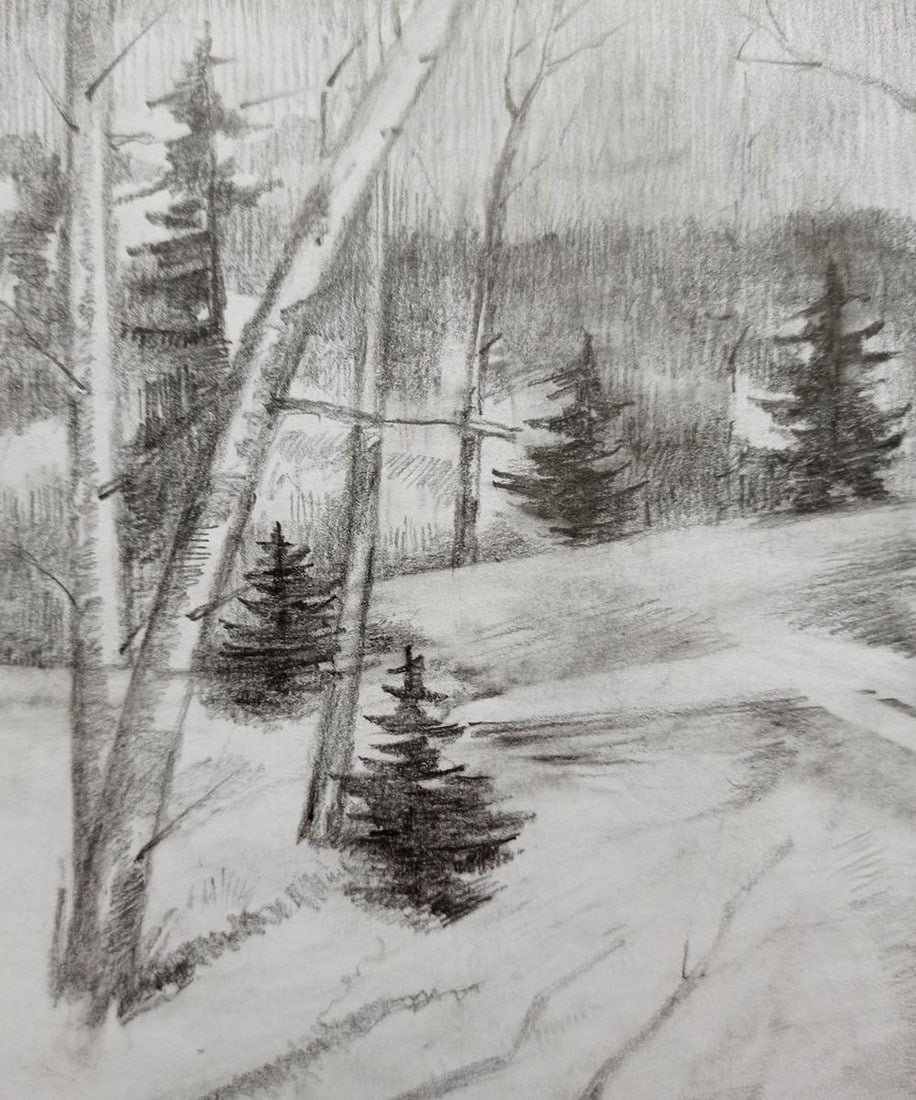 Pencil painting Forest landscape Peter Tovpev - 2