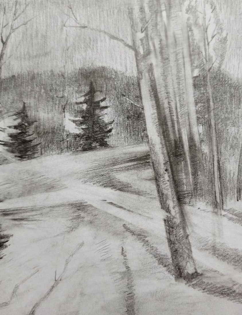 Pencil painting Forest landscape Peter Tovpev - 3