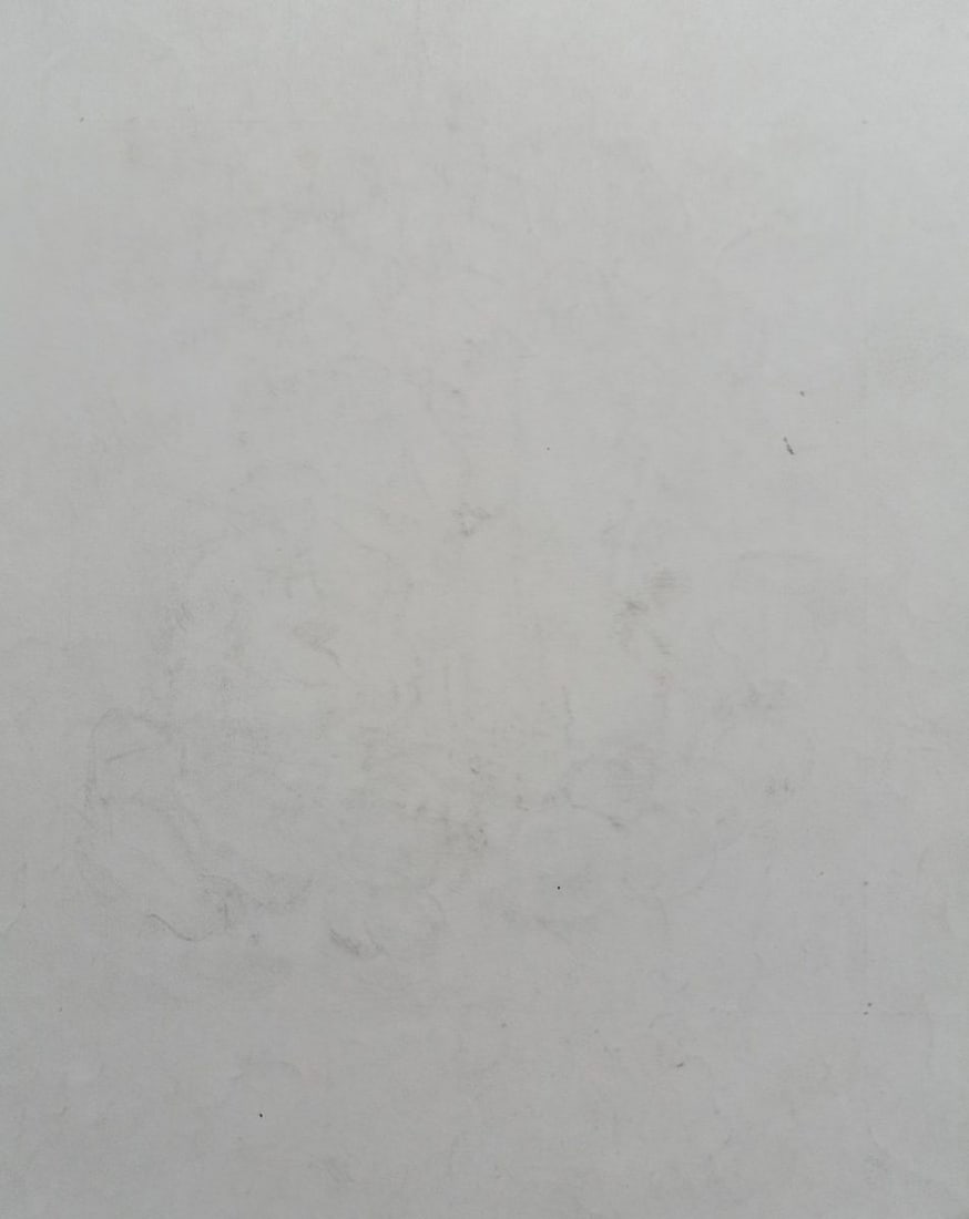 Pencil painting Still life Peter Tovpev - 4