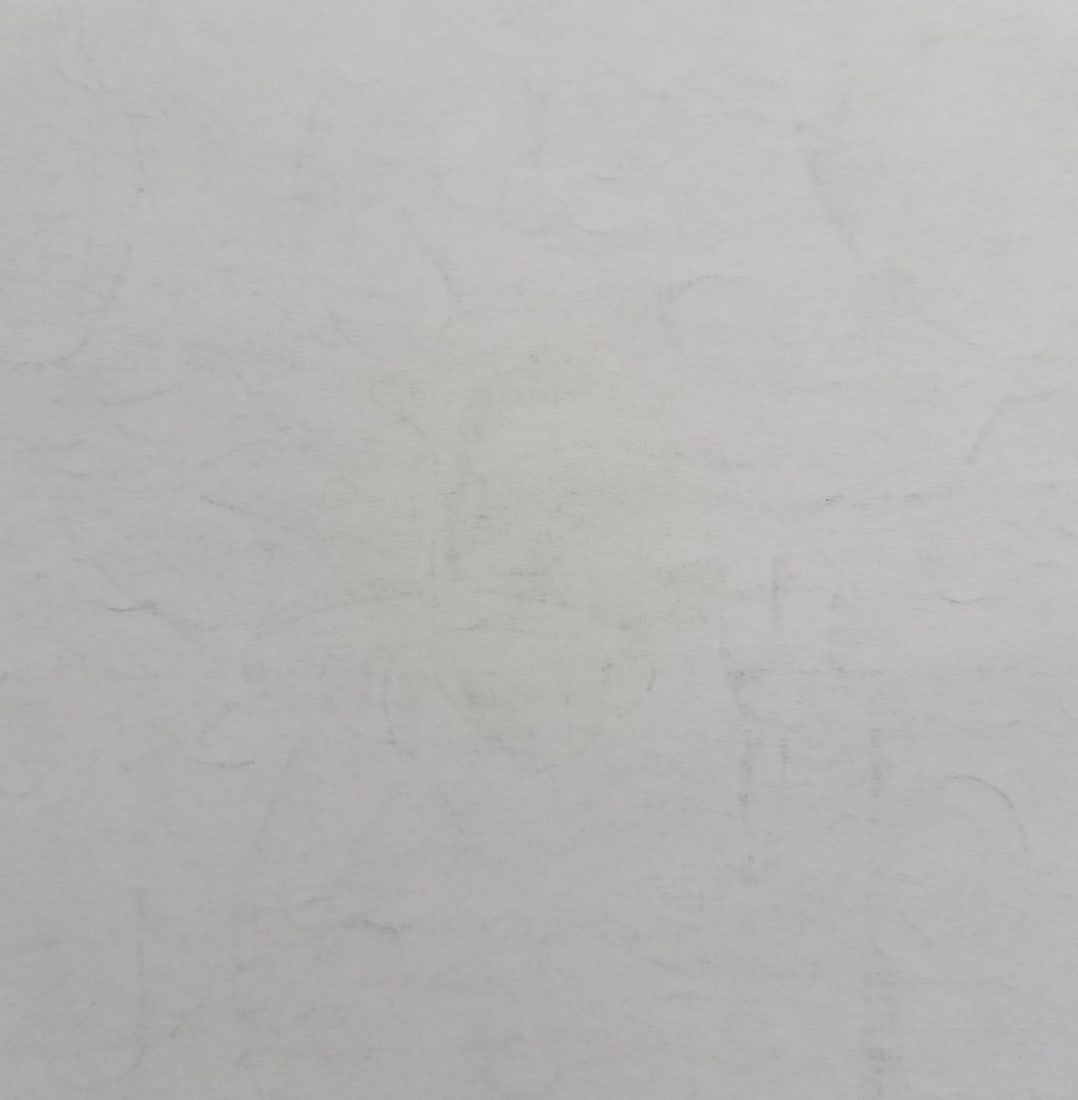 Abstract pencil painting Still life Peter Tovpev - 4