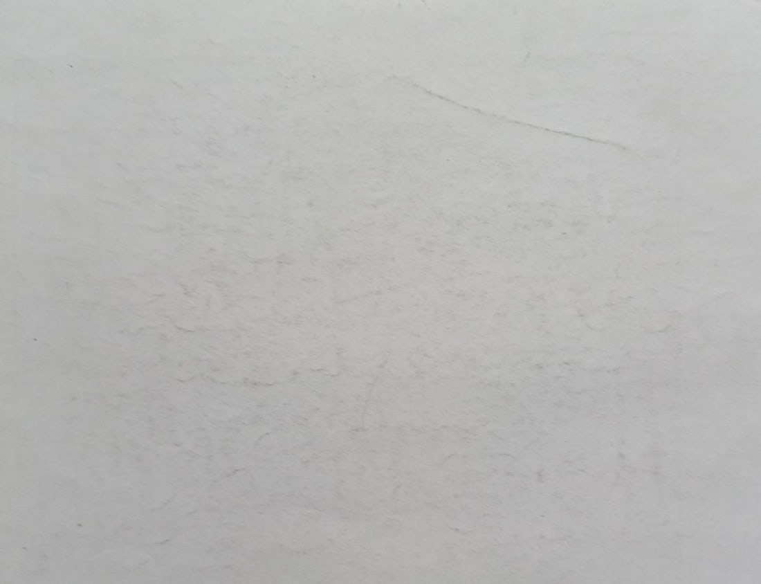 Pencil painting Landscape with trees Peter Tovpev - 4