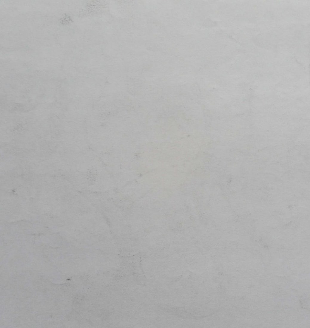 Abstract pencil painting Portrait of a naked girl Peter Tovpev - 4
