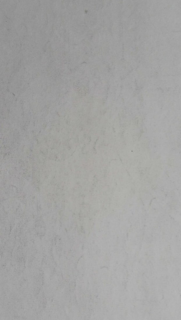 Abstract pencil painting Portrait of a naked girl Peter Tovpev - 4
