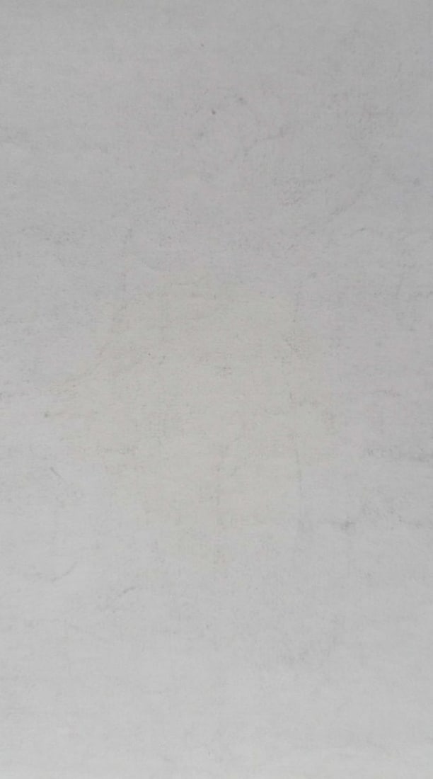 Abstract pencil painting Aphrodite Peter Tovpev - 4