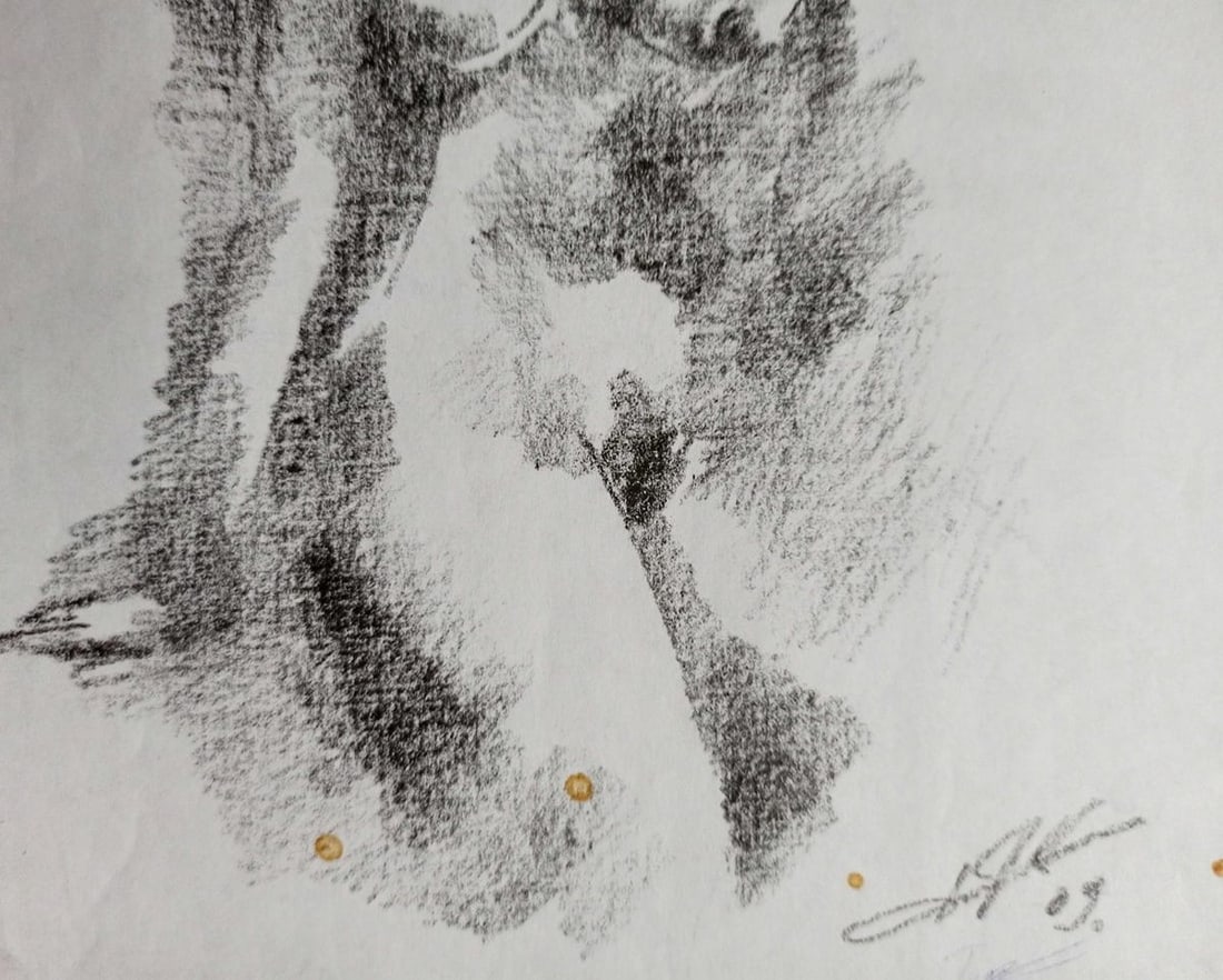 Abstract pencil painting Portrait of a naked girl Peter Tovpev - 3