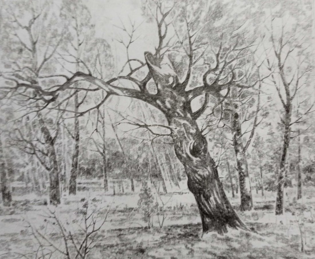 Pencil painting Forest landscape Peter Tovpev: Title: Pencil painting Forest landscape Peter Tovpev Description: NoDobr 715 *** ABOUT THIS PAINTING *** * TITLE: "Forest landscape" * ARTISTS: Peter Tovpev * SIZE: 18x20 cm/'7.08x7.87 inches' *