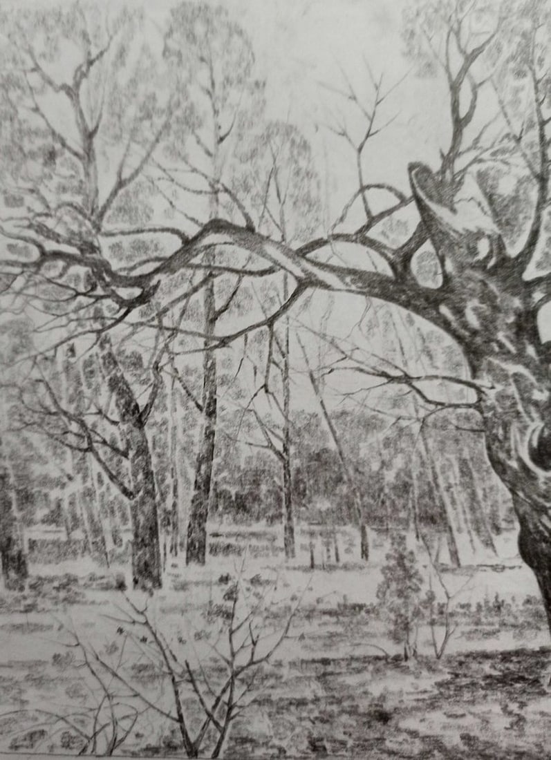 Pencil painting Forest landscape Peter Tovpev - 2