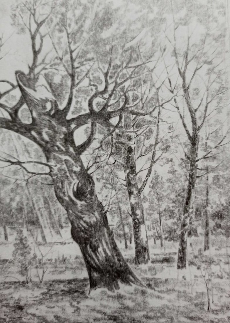 Pencil painting Forest landscape Peter Tovpev - 3