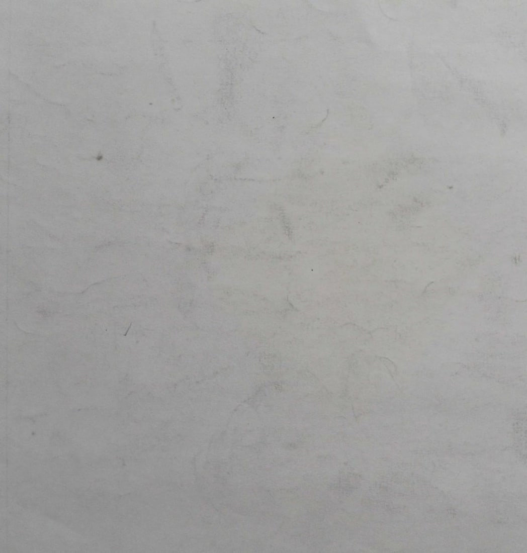 Abstract pencil painting Portrait of a girl Peter Tovpev - 4