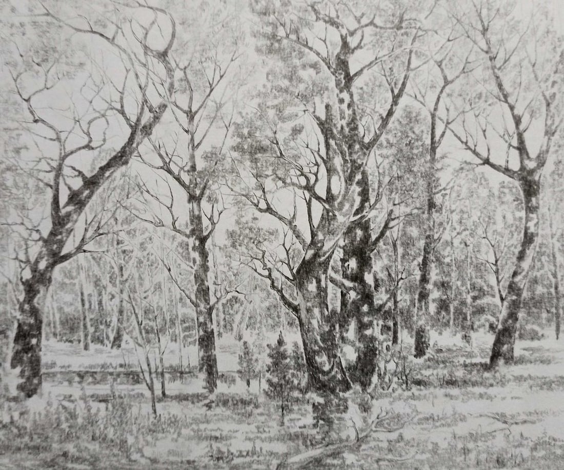 Pencil painting Forest landscape Peter Tovpev: Title: Pencil painting Forest landscape Peter Tovpev Description: NoDobr 731 *** ABOUT THIS PAINTING *** * TITLE: "Forest landscape" * ARTISTS: Peter Tovpev * SIZE: 18x20 cm/'7.08x7.87 inches' *