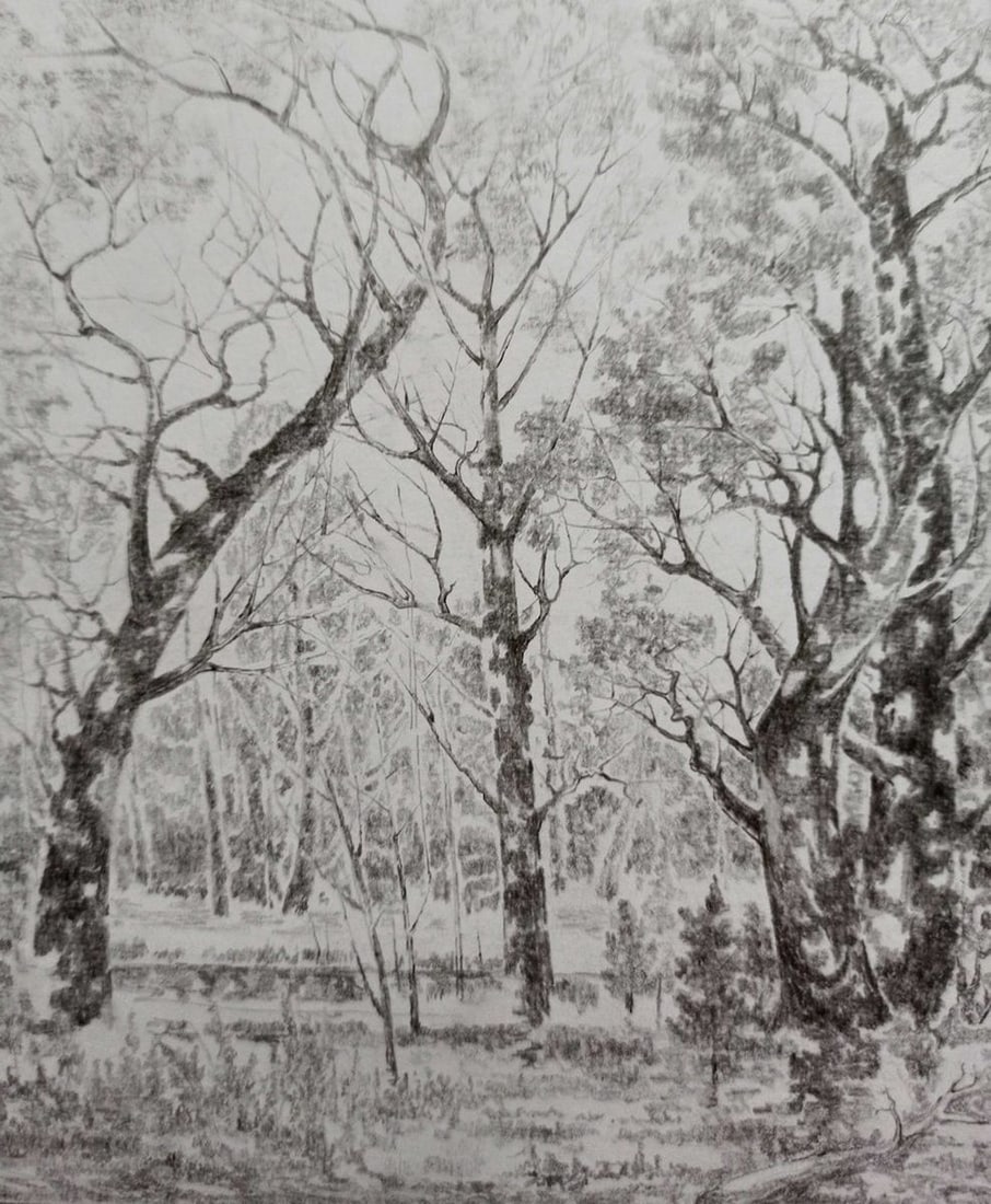 Pencil painting Forest landscape Peter Tovpev - 2