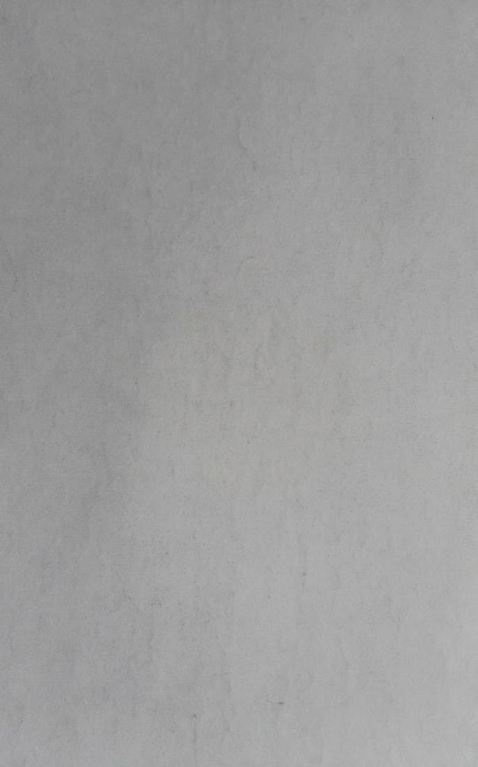 Abstract pencil painting Portrait of a naked girl Peter Tovpev - 4