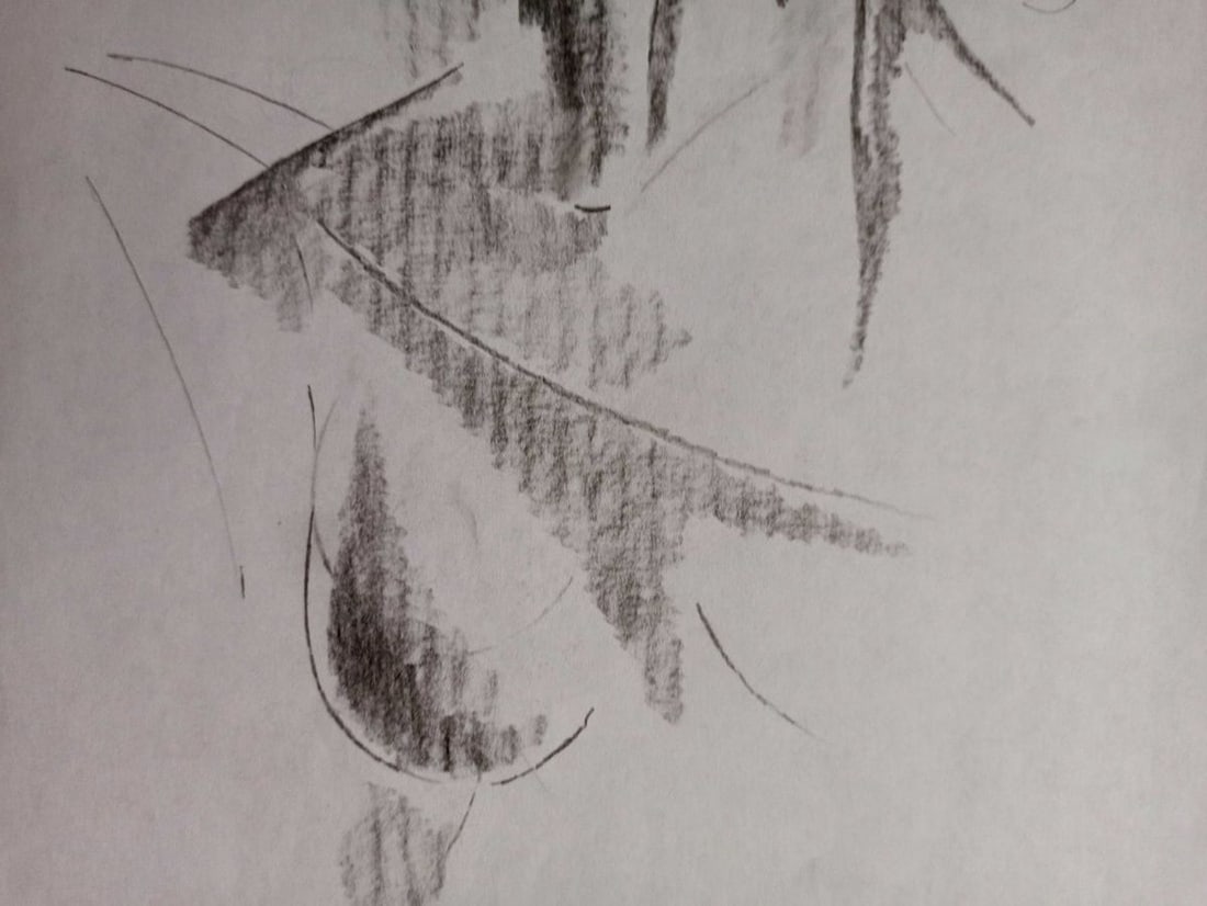 Abstract pencil painting Portrait of a woman Peter Tovpev - 3