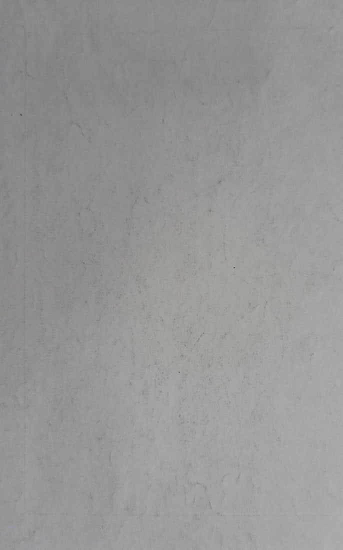 Abstract pencil painting Portrait of a naked girl Peter Tovpev - 4