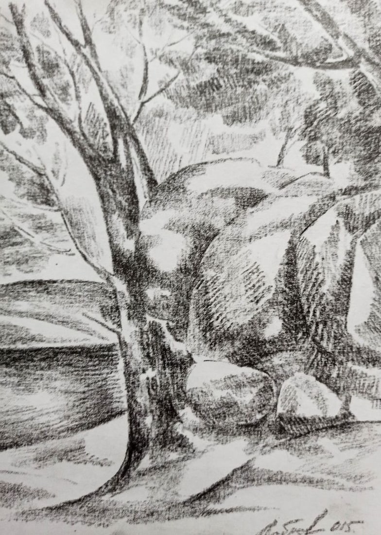 Pencil painting Summer landscape Peter Tovpev - 3