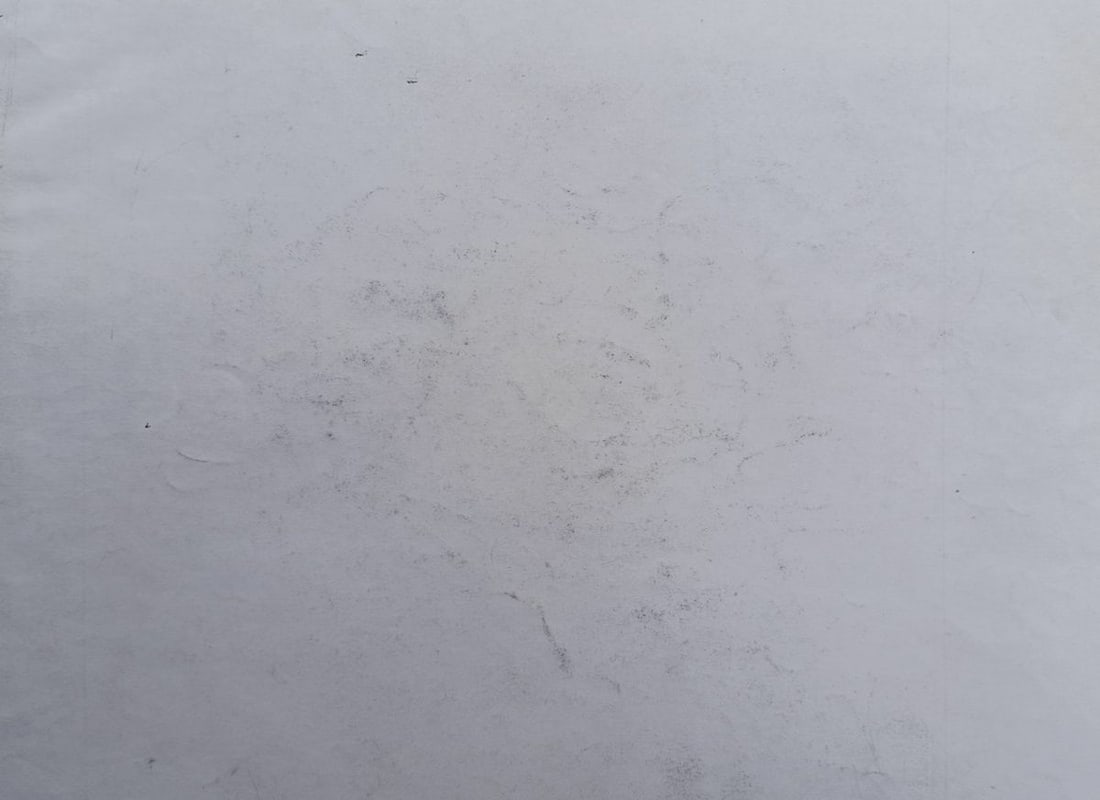 Abstract pencil painting Portrait of a girl Peter Tovpev - 4