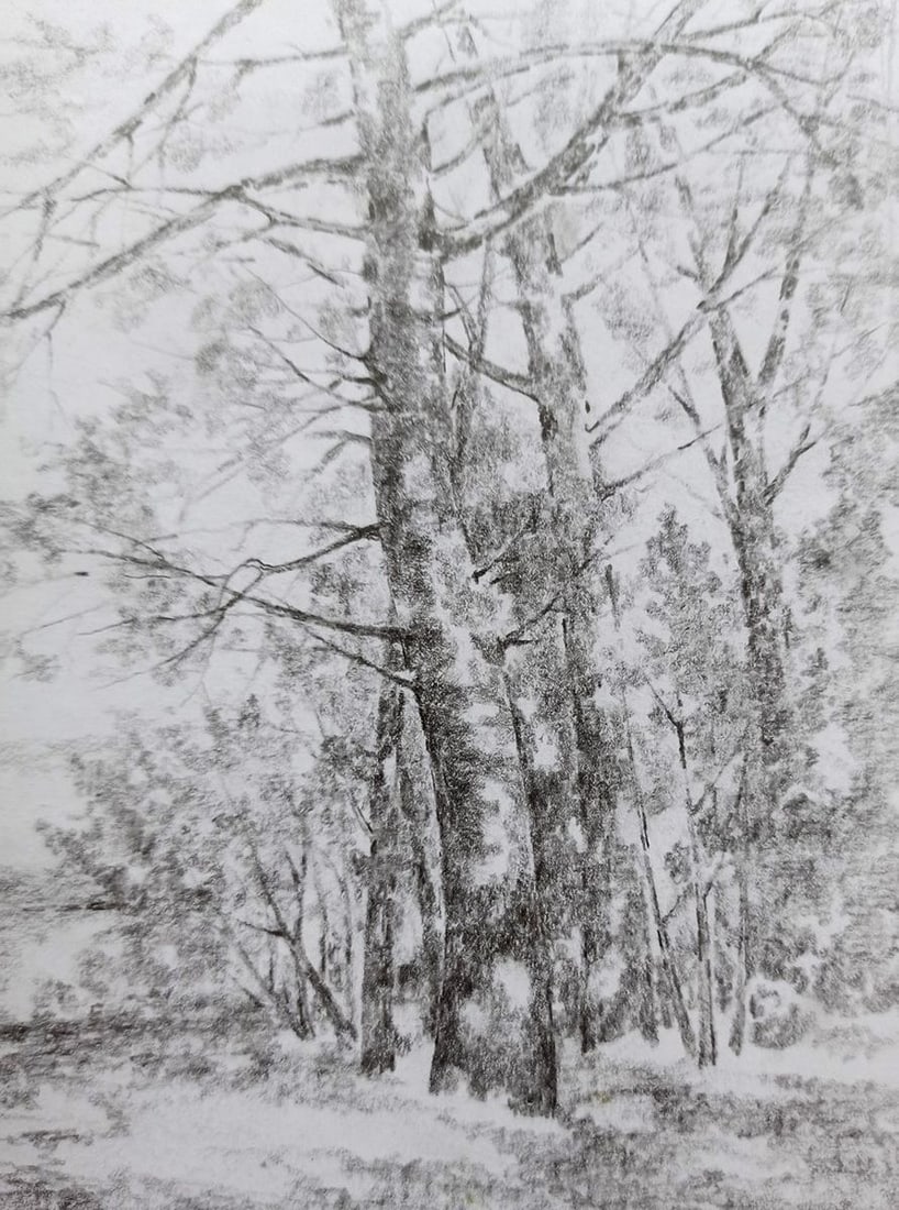 Pencil painting Late fall Peter Tovpev - 3