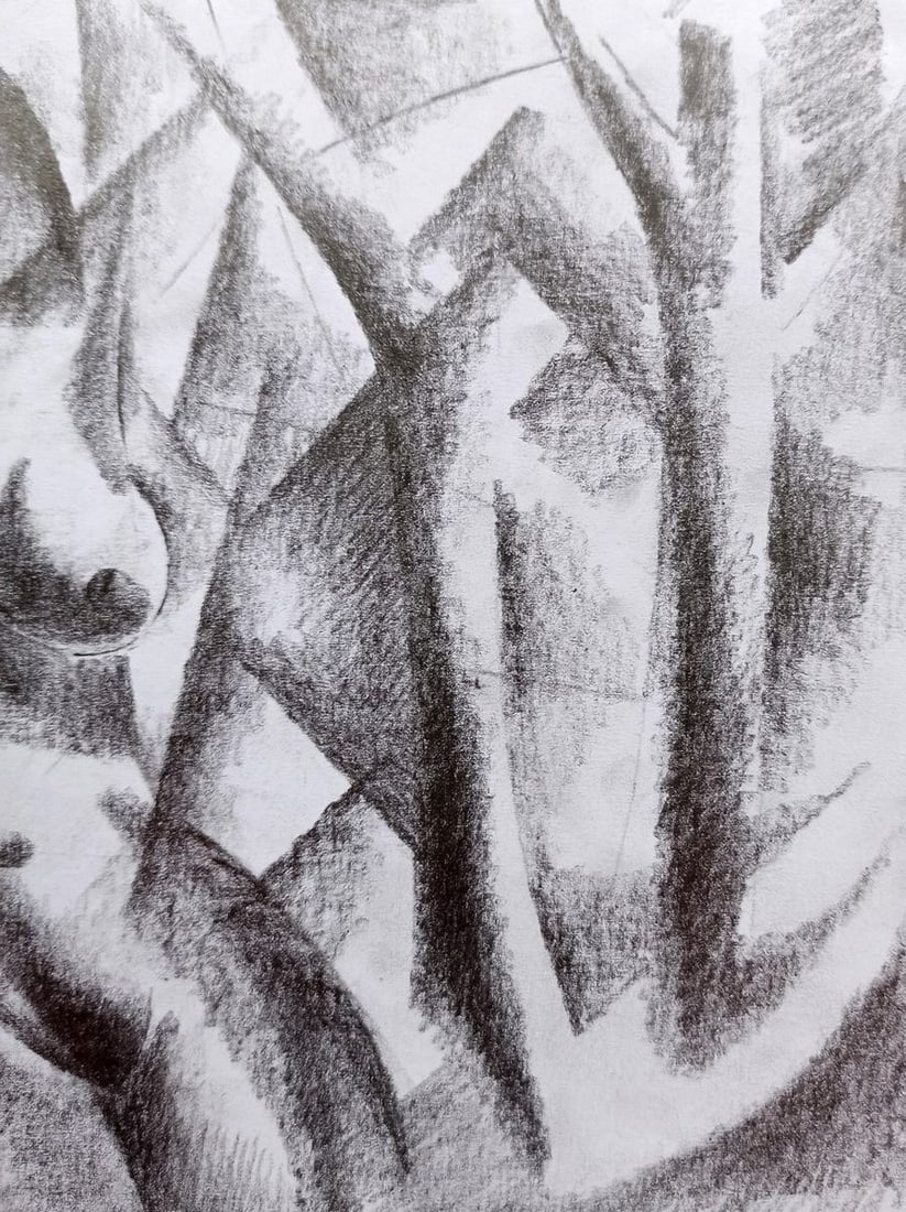 Abstract pencil painting Portrait of a naked girl Peter Tovpev - 3