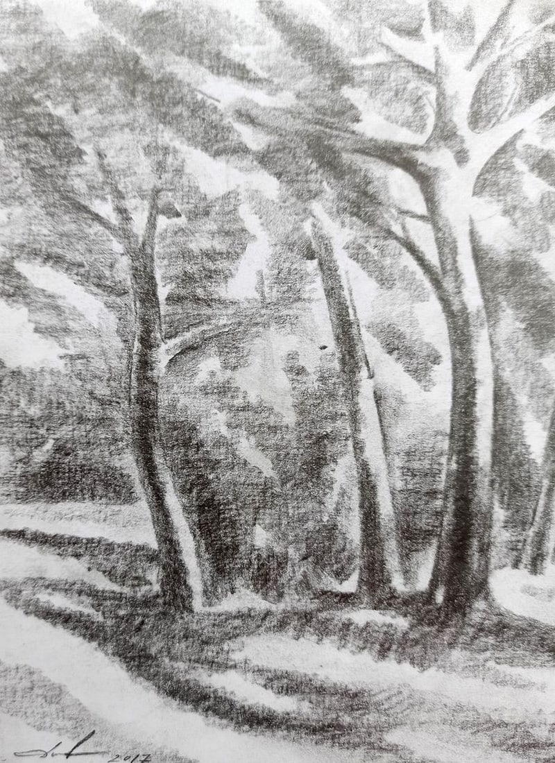 Pencil painting Forest landscape Peter Tovpev - 2