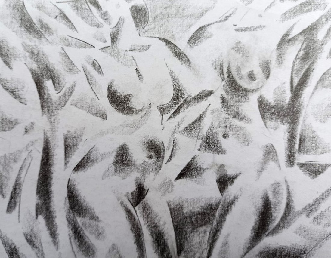 Abstract pencil painting Naked girls Peter Tovpev - 2