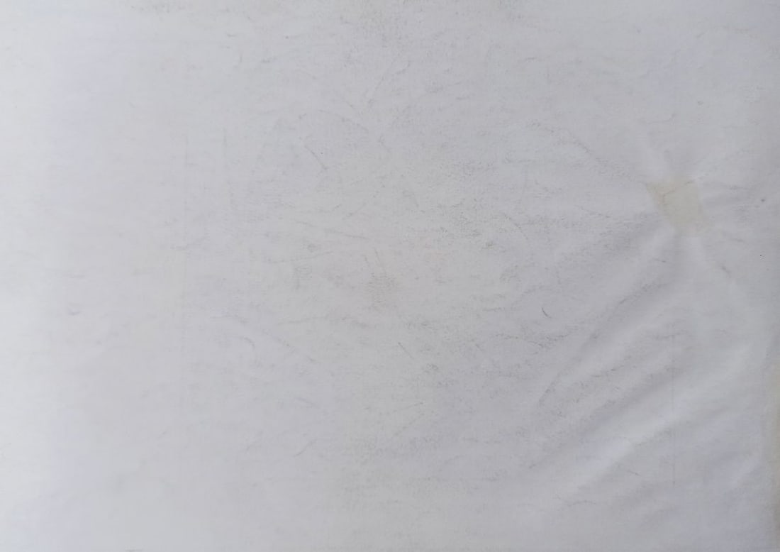 Abstract pencil painting Naked girl Peter Tovpev - 4
