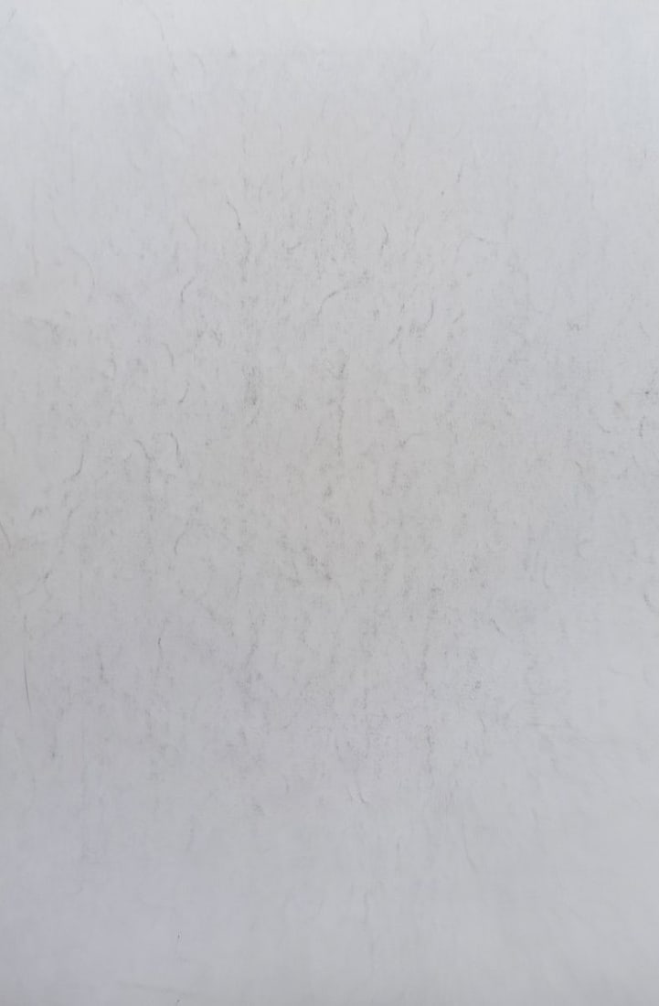 Abstract pencil painting Naked girls Peter Tovpev - 4