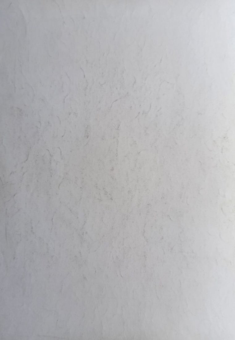 Abstract pencil painting Naked girls Peter Tovpev - 5