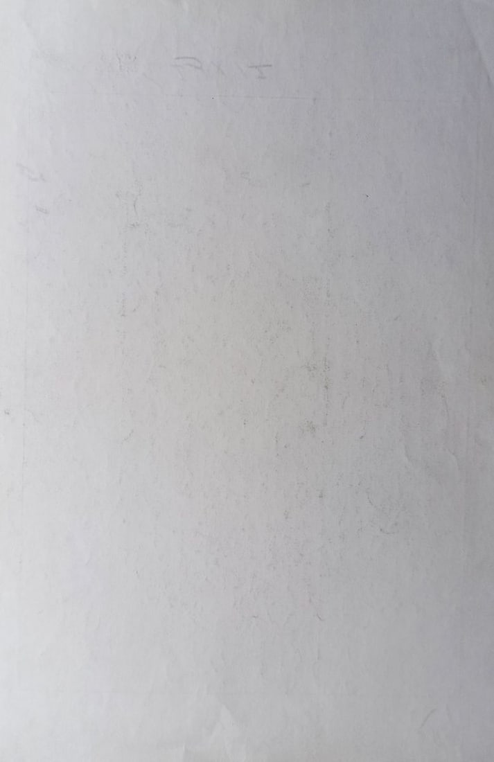 Abstract pencil painting Naked girl Peter Tovpev - 4